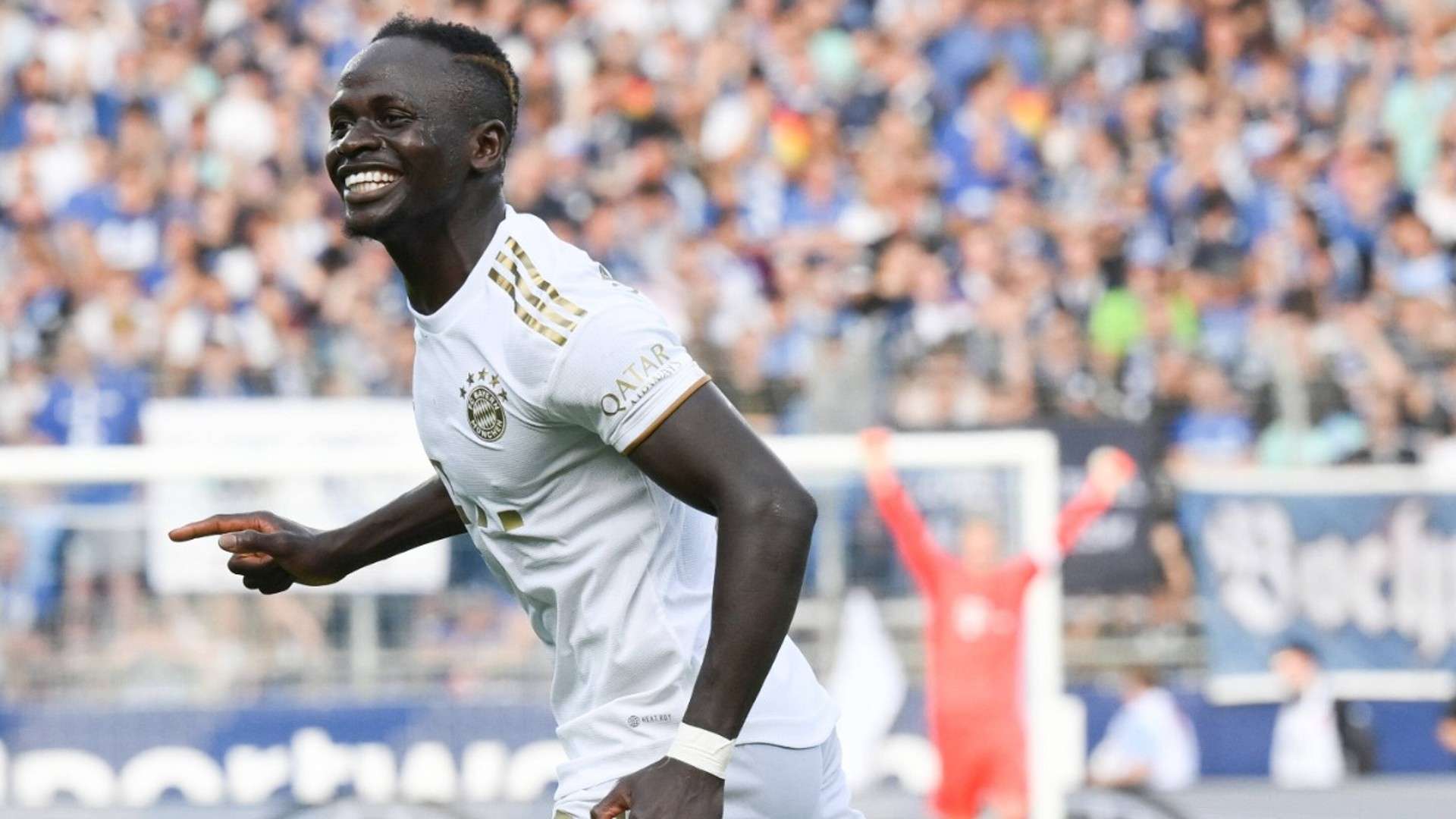 他们在国家 他们在国家