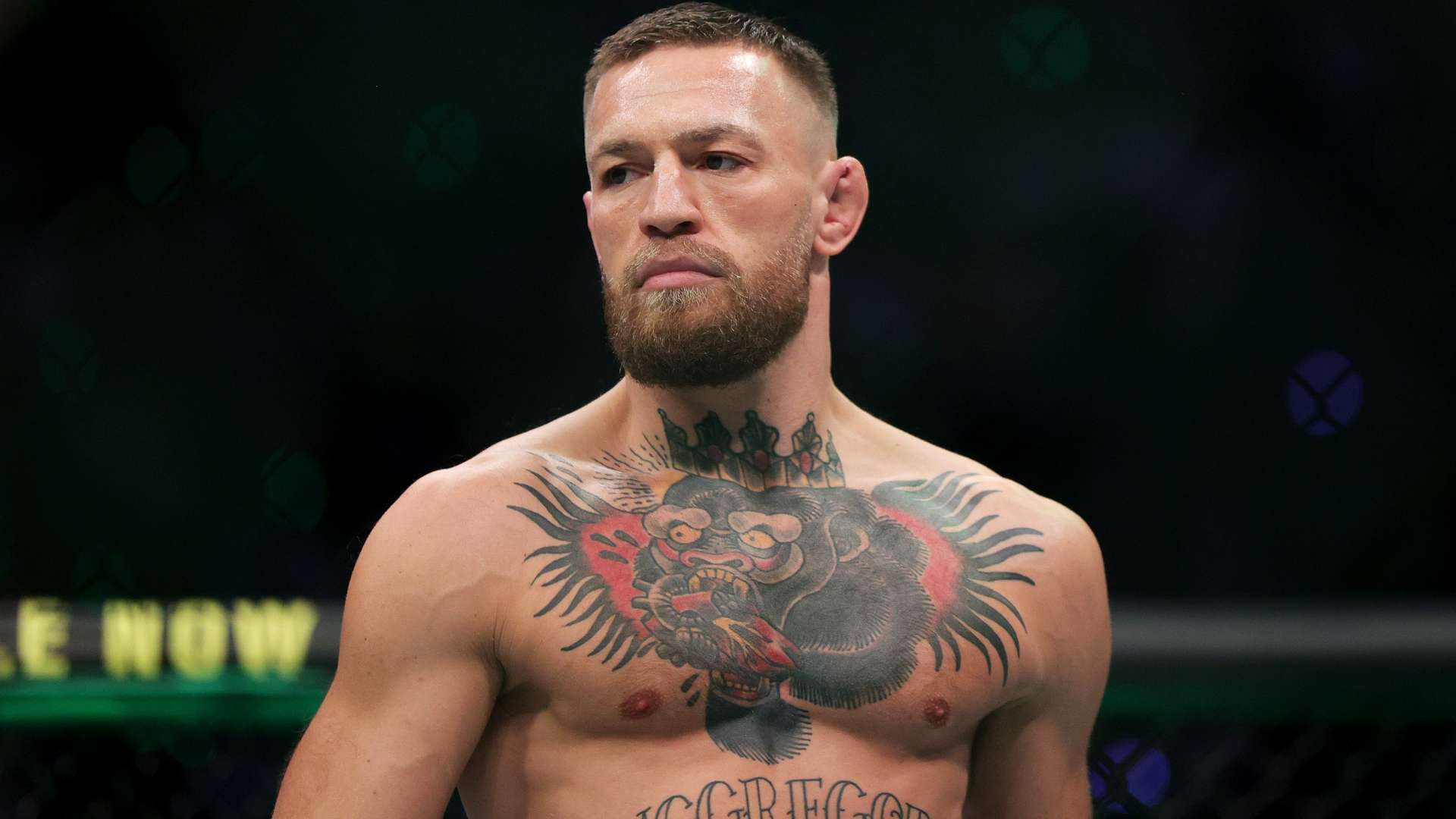 看看这场对 看看这场对